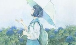 小埋直播最新爆料,揭秘隐藏在幕后的惊人真相！